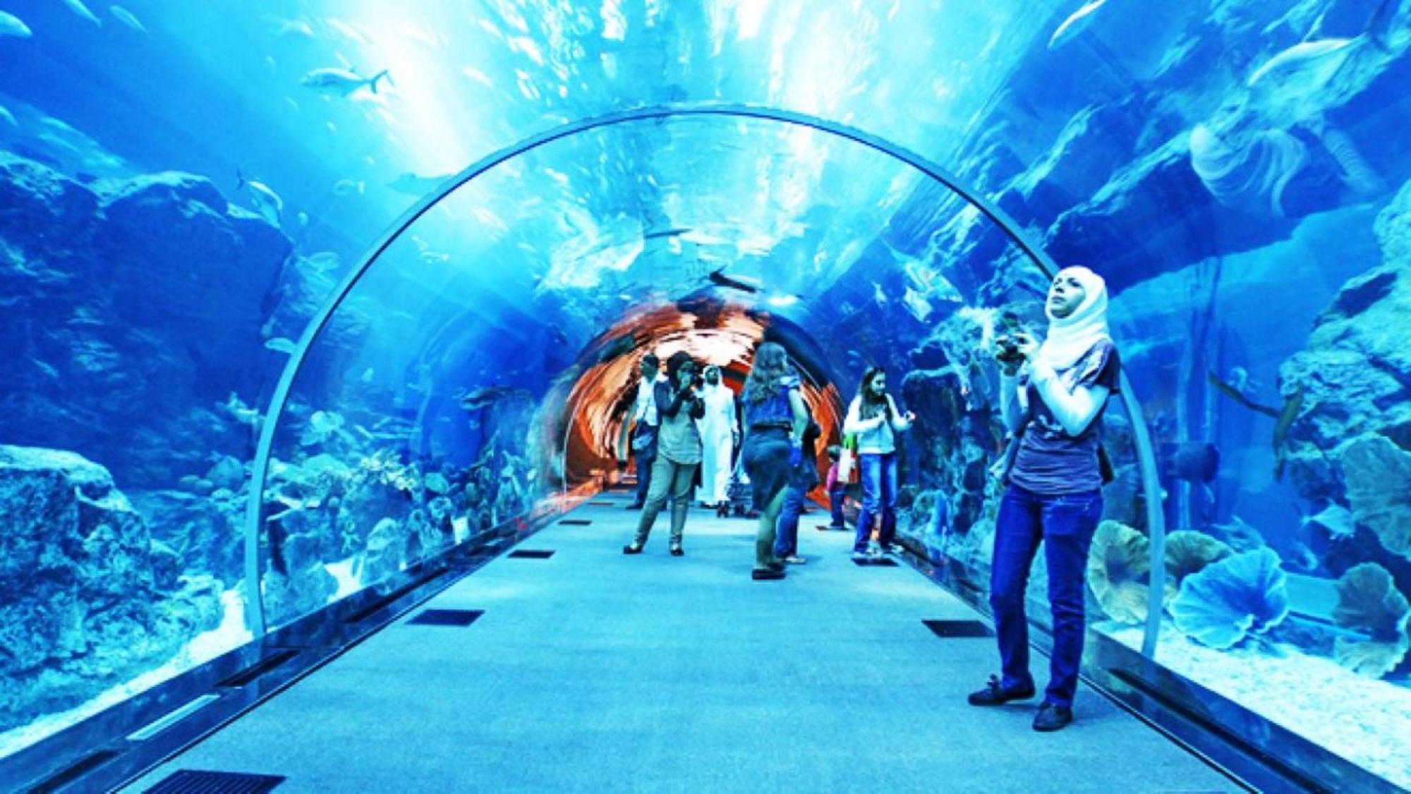 Dalla Laretta Di Fronte All Acquario Di Genova Extérieur photo